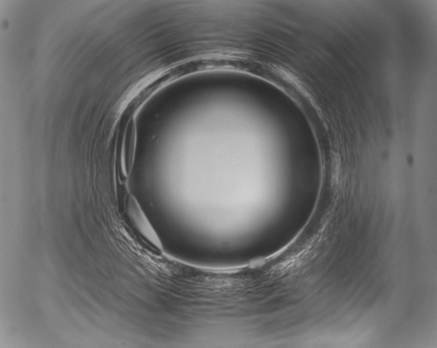 X0000054470829200508011459