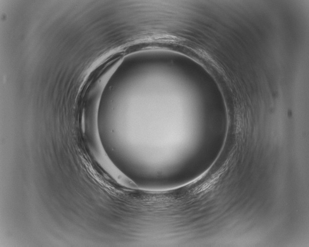 X0000054470830200508011459