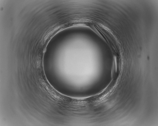 X0000054470833200508011459