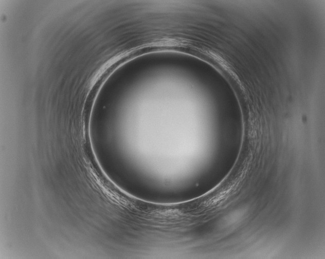 X0000054470837200508011459