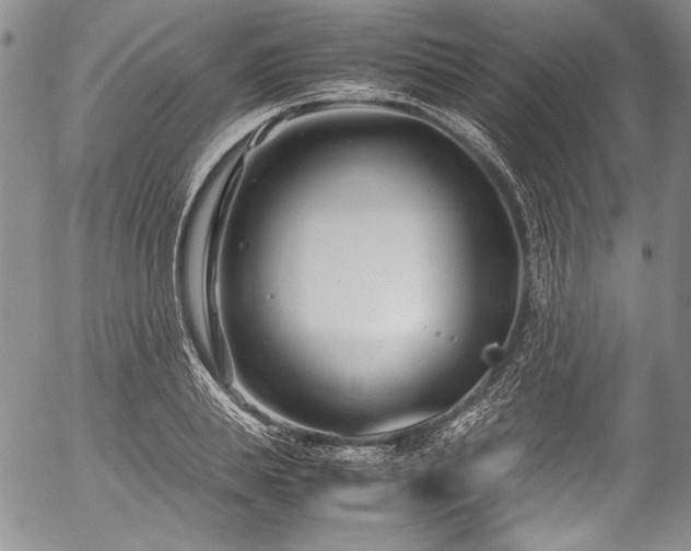 X0000054470839200508011459