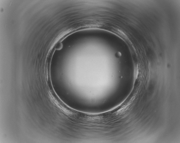 X0000054470843200508011459