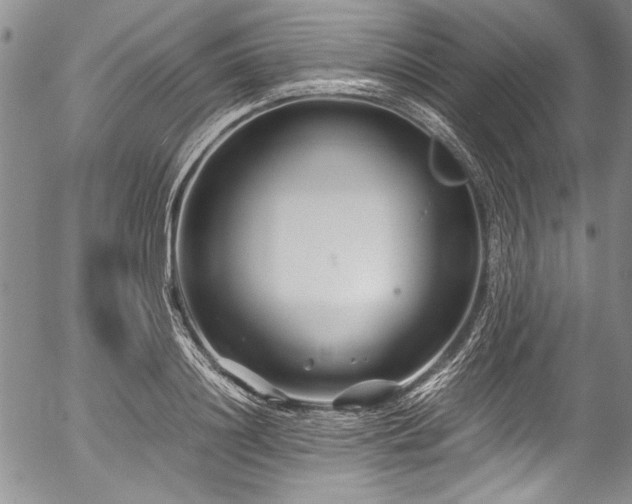 X0000054470844200508011459