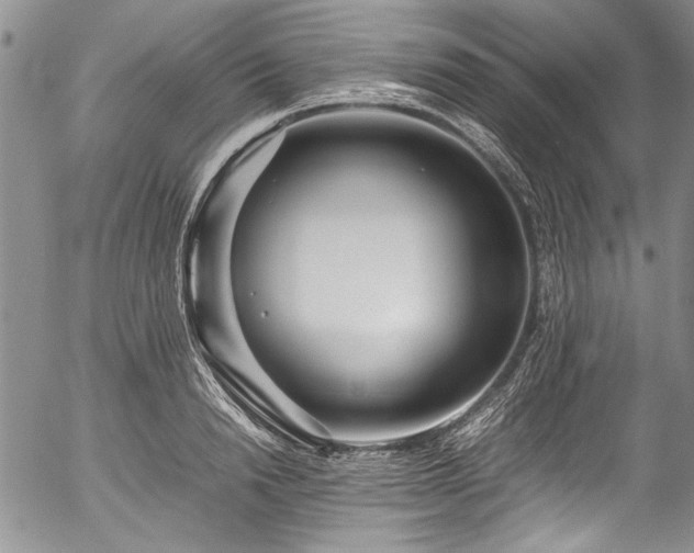 X0000054470846200508011459