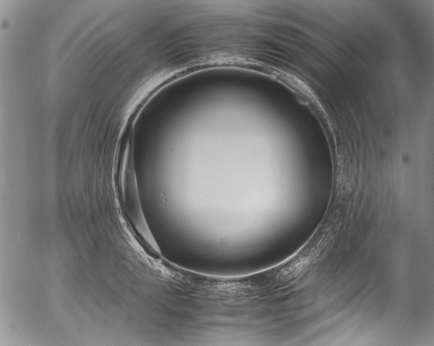 X0000054470847200508011459