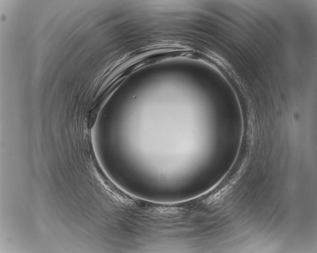 X0000054470849200508011459