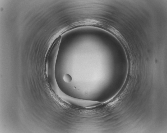 X0000054470850200508011459