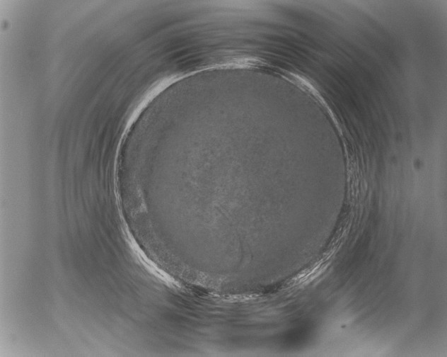 X0000054470851200508011459