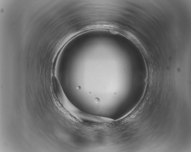 X0000054470852200508011459