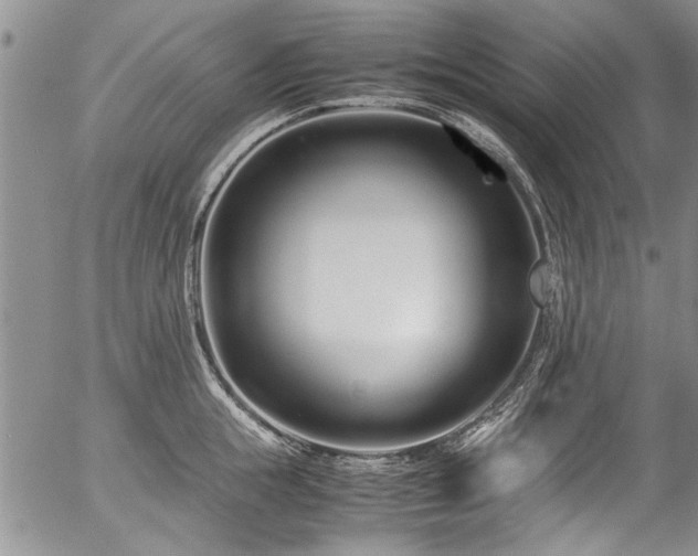 X0000054470855200508011459