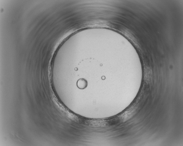 X0000054470856200508011459