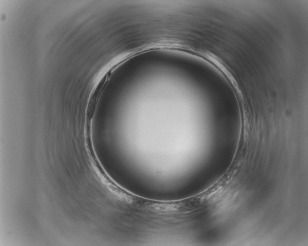 X0000054470861200508011459