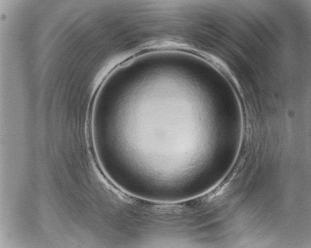 X0000054470863200508011459