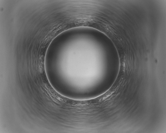 X0000054470868200508011458