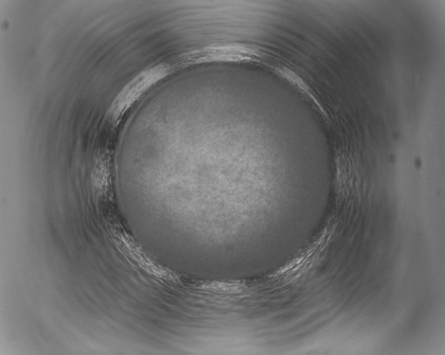 X0000054470874200508011458
