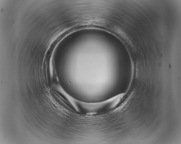 X0000054470876200508011458