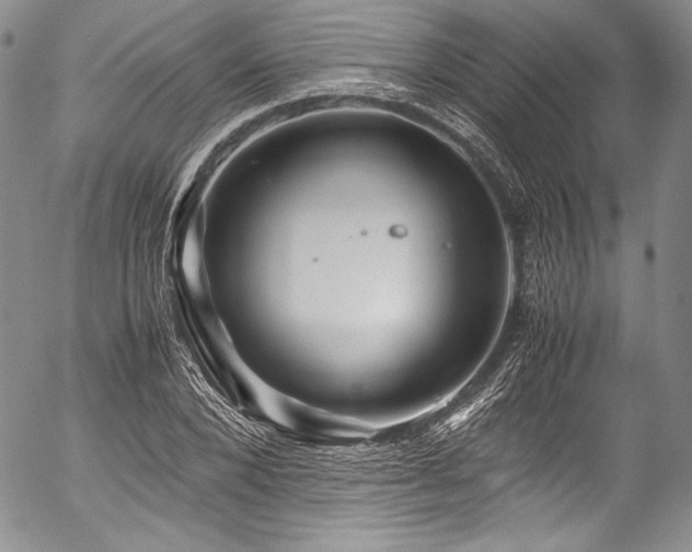 X0000054470880200508011458