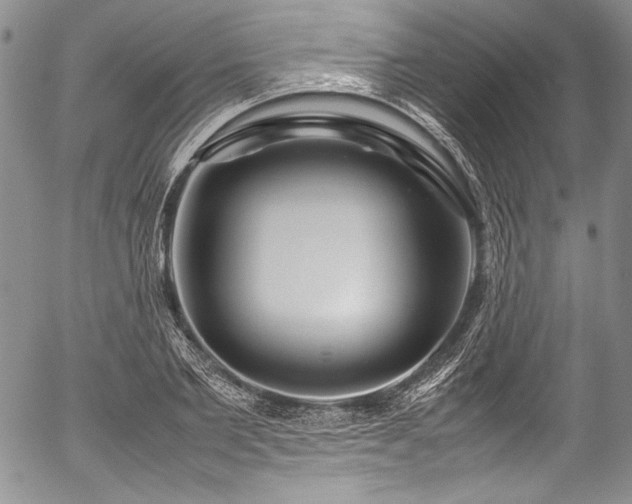 X0000054470885200508011458