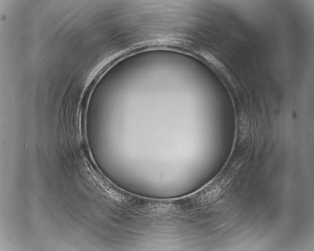 X0000054470886200508011458