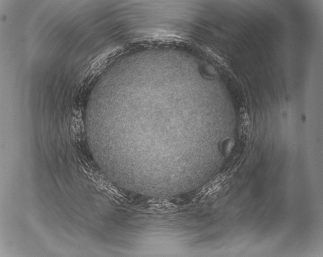 X0000054470918200508011457