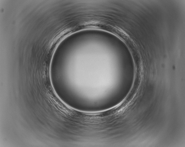 X0000054470921200508011457