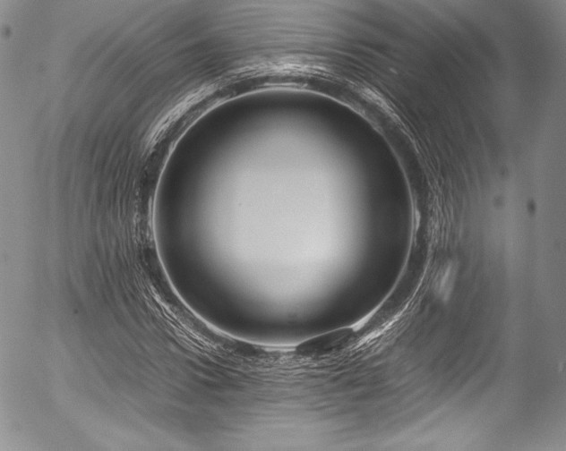 X0000054470922200508011457