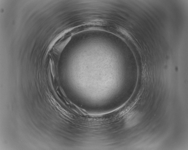 X0000054470923200508011457