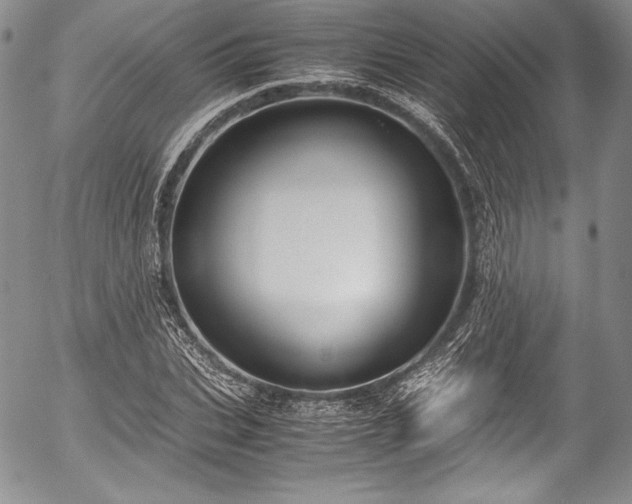 X0000054470927200508011457