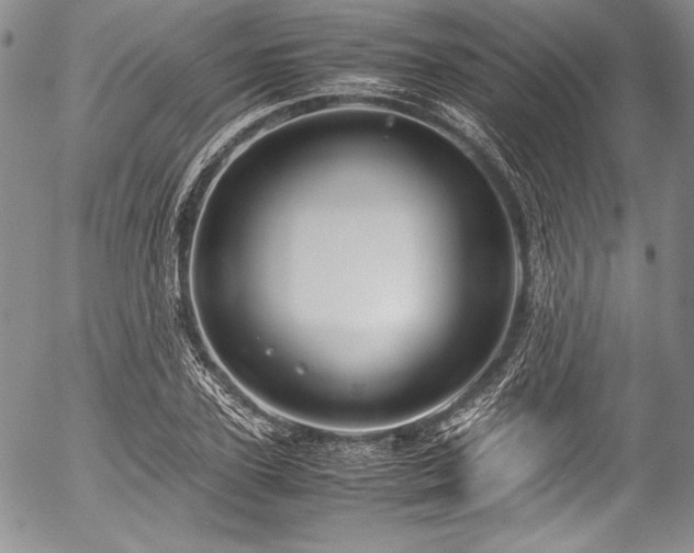 X0000054470931200508011457