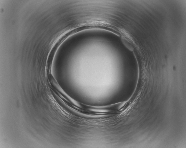 X0000054470932200508011457