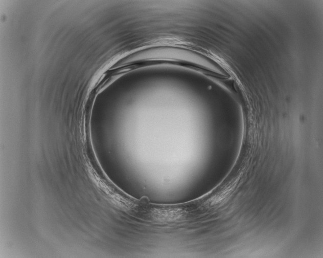 X0000054470939200508011457