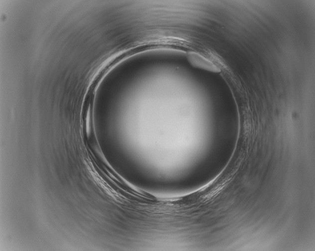 X0000054470940200508011457
