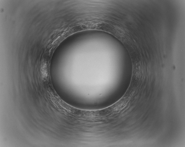 X0000054470962200508011457