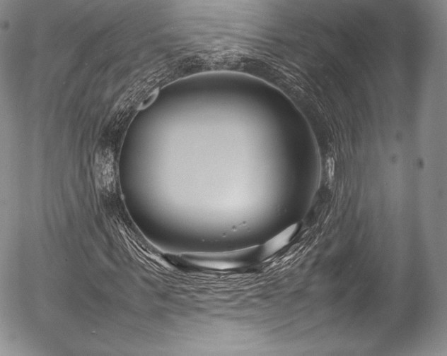 X0000054470963200508011457
