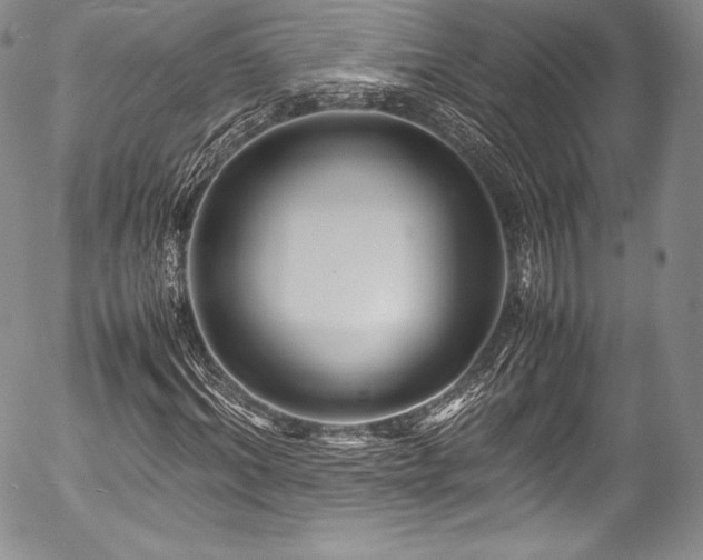 X0000054470964200508011457