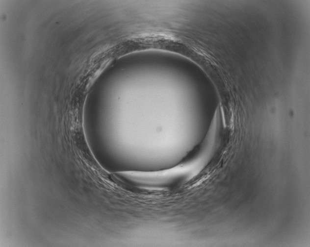 X0000054470965200508011457
