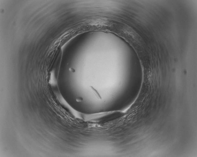 X0000054470968200508011457