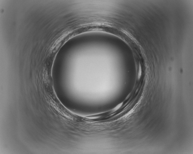 X0000054470969200508011457