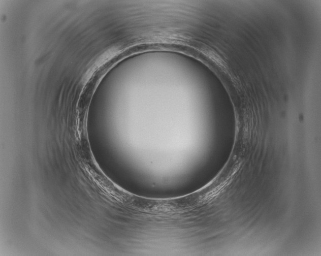 X0000054470974200508011456