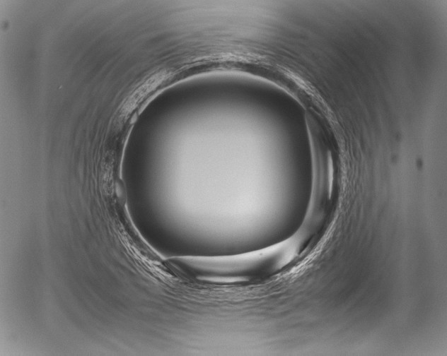 X0000054470977200508011456