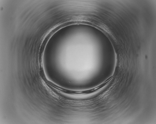 X0000054470980200508011456