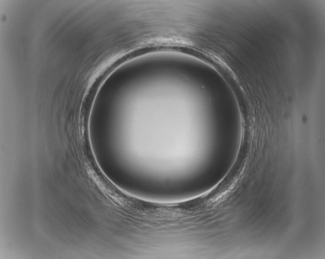 X0000054470981200508011456