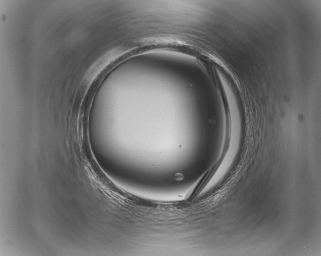 X0000054470983200508011456