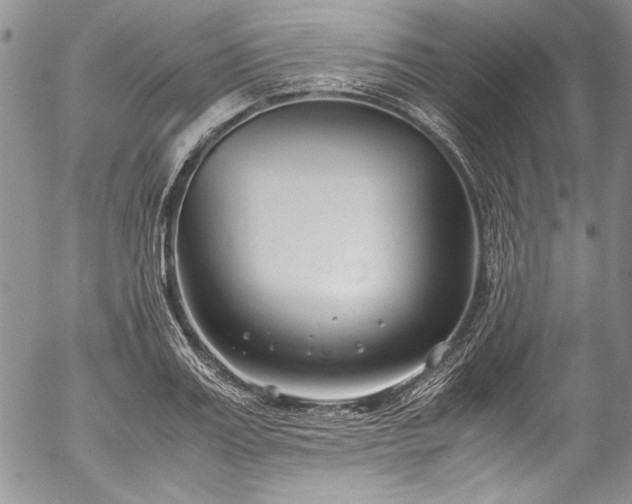 X0000054470987200508011456