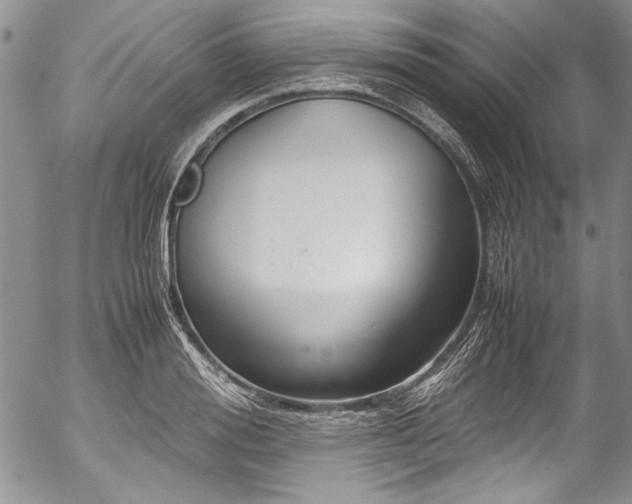 X0000054470988200508011456