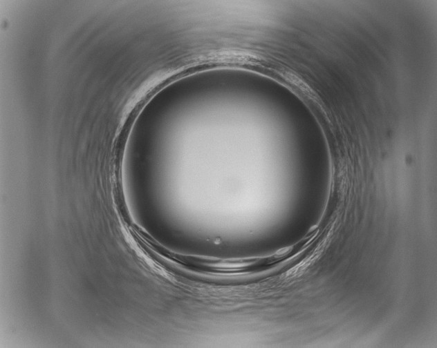 X0000054470989200508011456