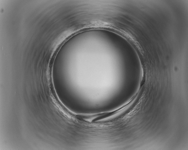 X0000054470990200508011456