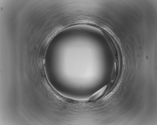 X0000054470993200508011456