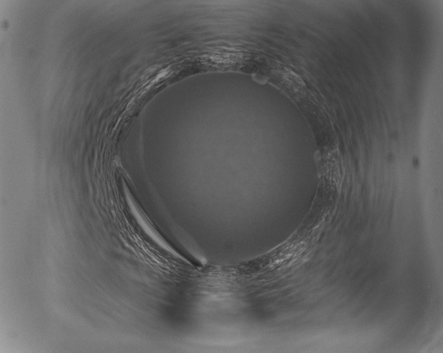 X0000054471009200508011455