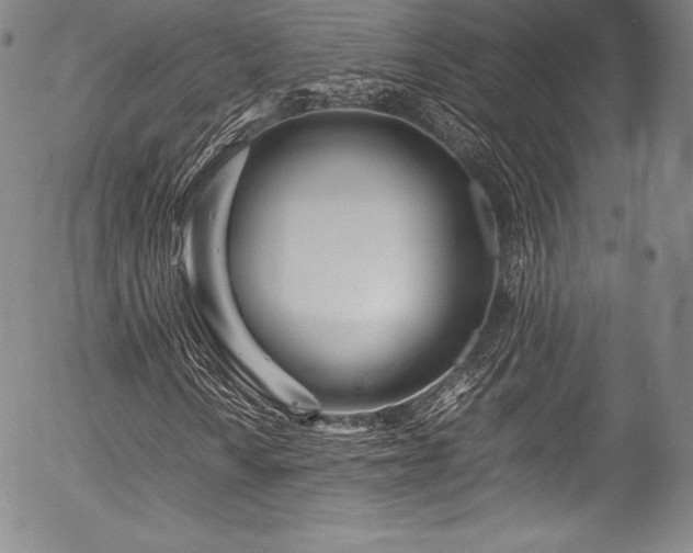 X0000054471010200508011455